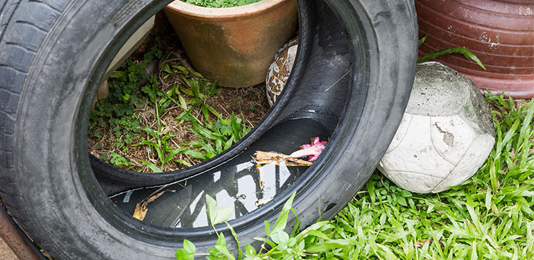 Un neumático usado sobre el pasto con agua estancada en el hueco.