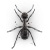 Ilustración de una hormiga constructora de montículos