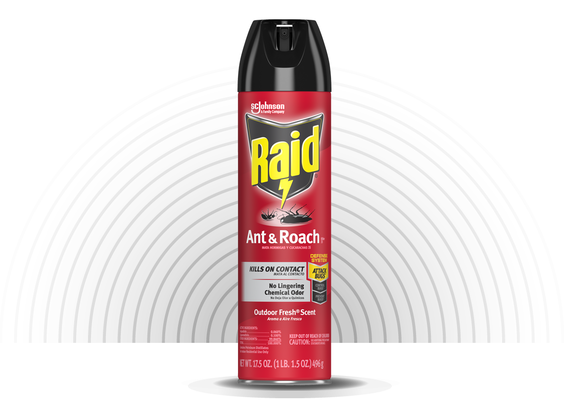 Raid-Ant-and-Roach-Killer-26-Hero-1-EN-2X